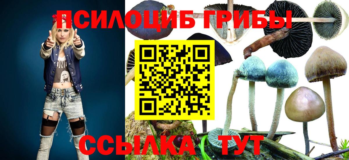 Галлюциногенные грибы прущие грибы Советск