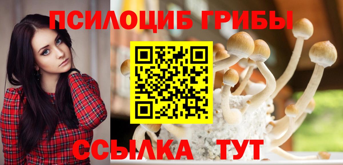 Псилоцибиновые грибы Psilocybine cubensis  Вход с VPN  Галлюциногенные грибы прущие грибы  Советск 